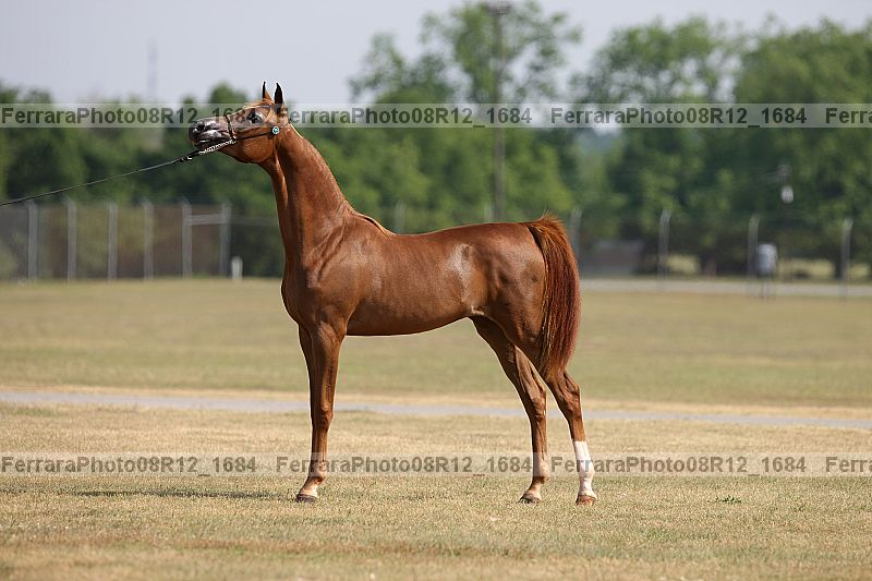 Proof 08r12_1684