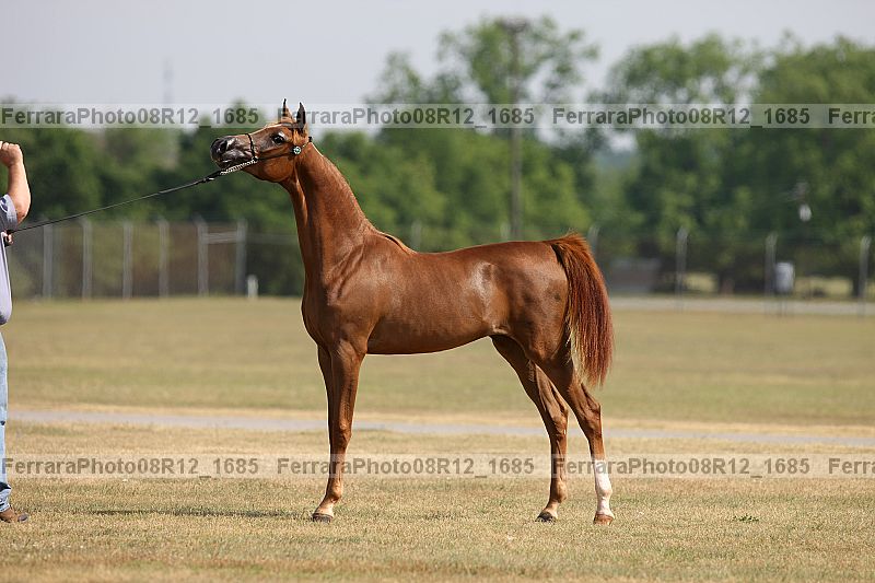 Proof 08r12_1685