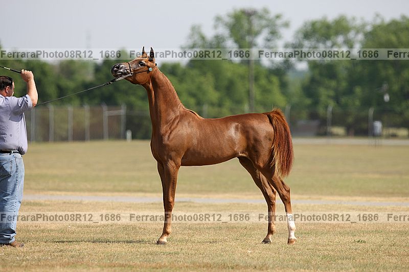 Proof 08r12_1686