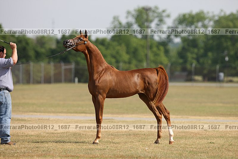 Proof 08r12_1687