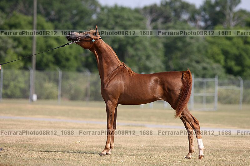 Proof 08r12_1688