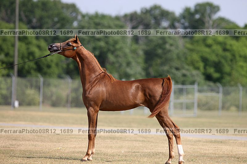 Proof 08r12_1689
