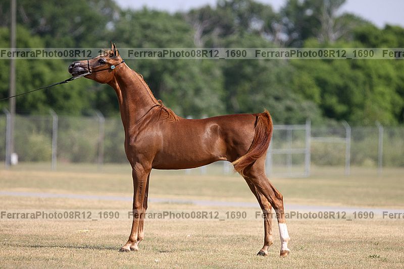 Proof 08r12_1690