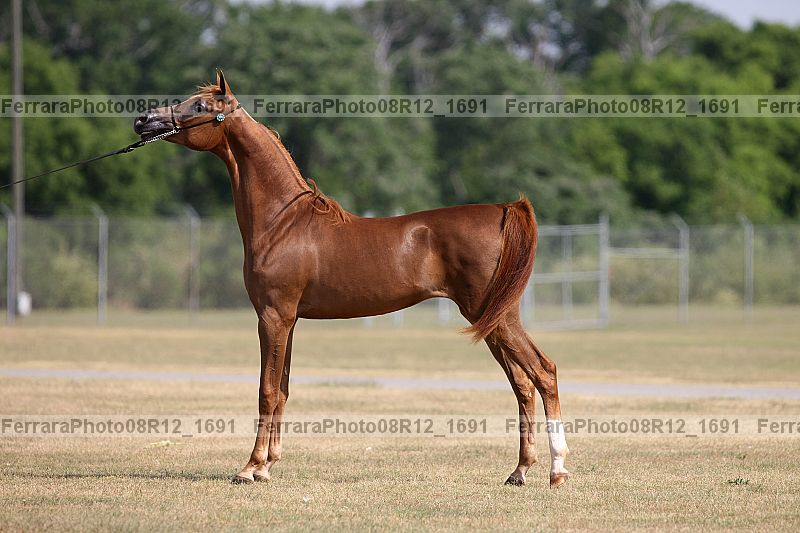 Proof 08r12_1691