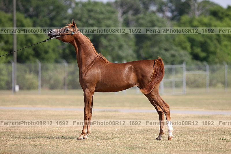 Proof 08r12_1692