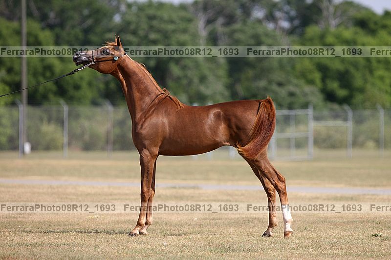 Proof 08r12_1693