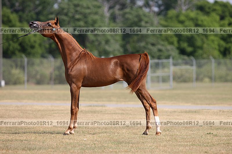 Proof 08r12_1694