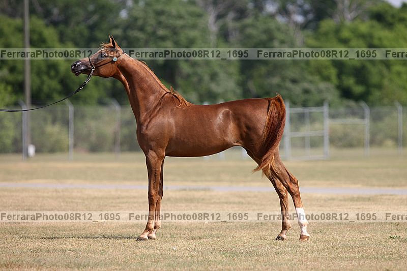 Proof 08r12_1695
