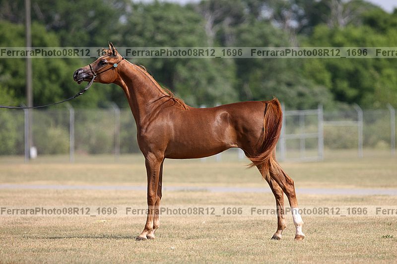 Proof 08r12_1696