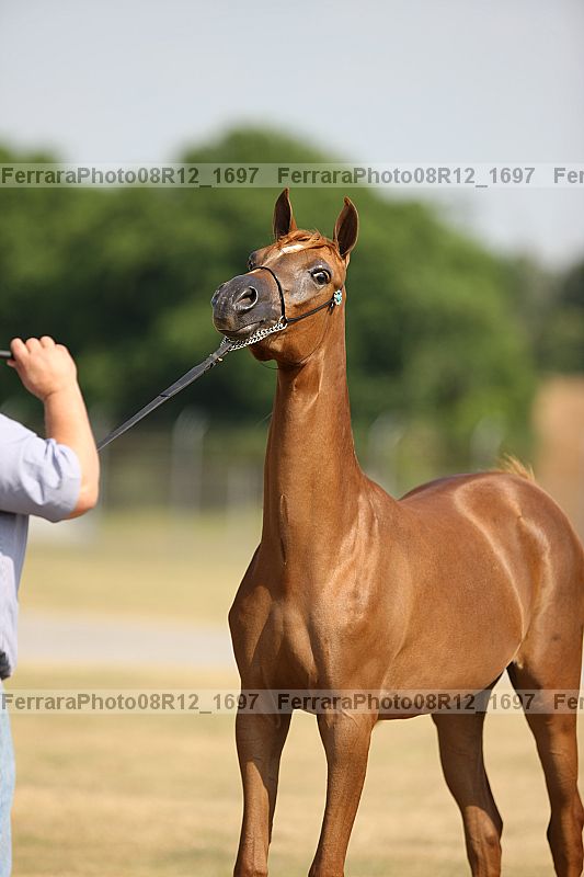 Proof 08r12_1697