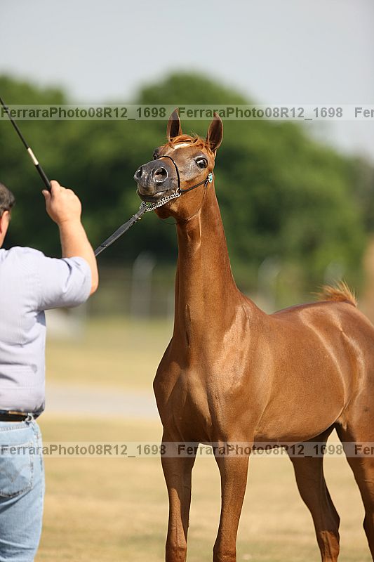Proof 08r12_1698