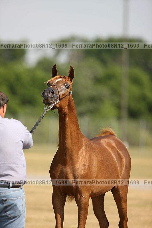 Proof 08r12_1699