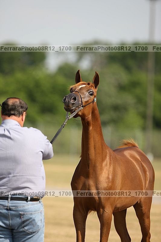 Proof 08r12_1700