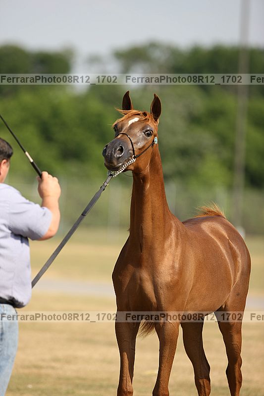 Proof 08r12_1702