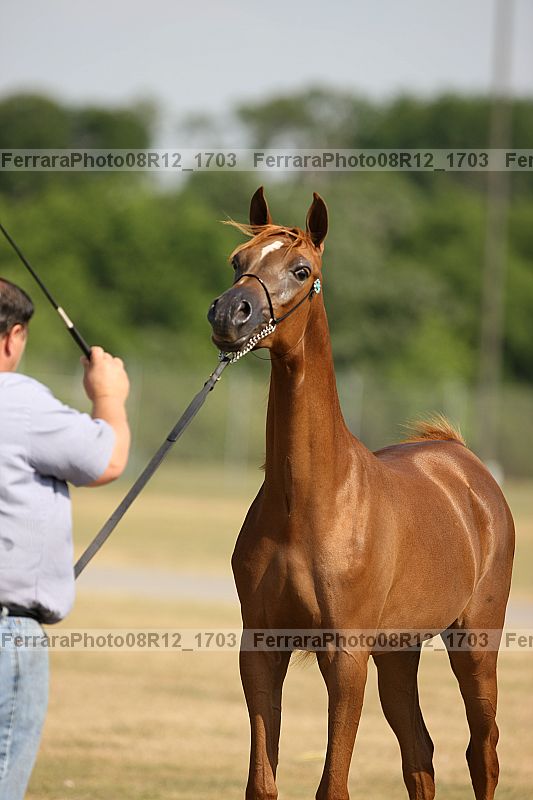 Proof 08r12_1703