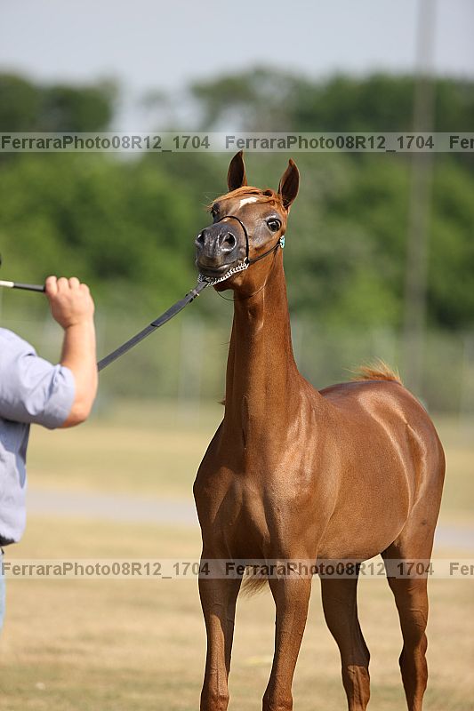 Proof 08r12_1704