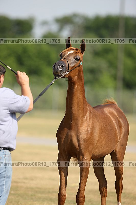 Proof 08r12_1705