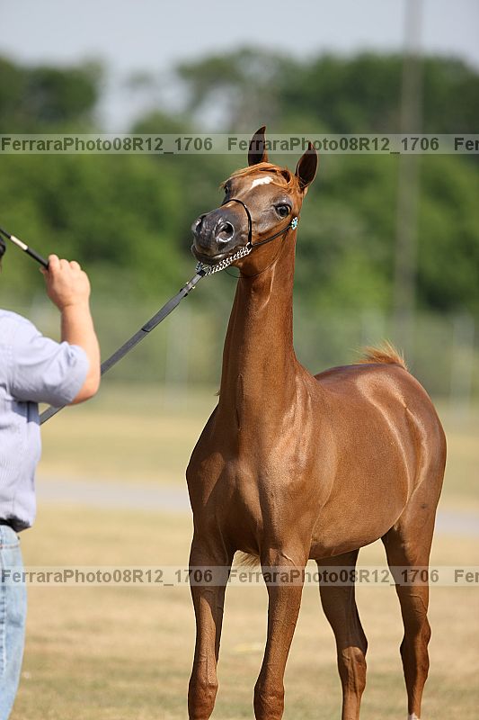 Proof 08r12_1706