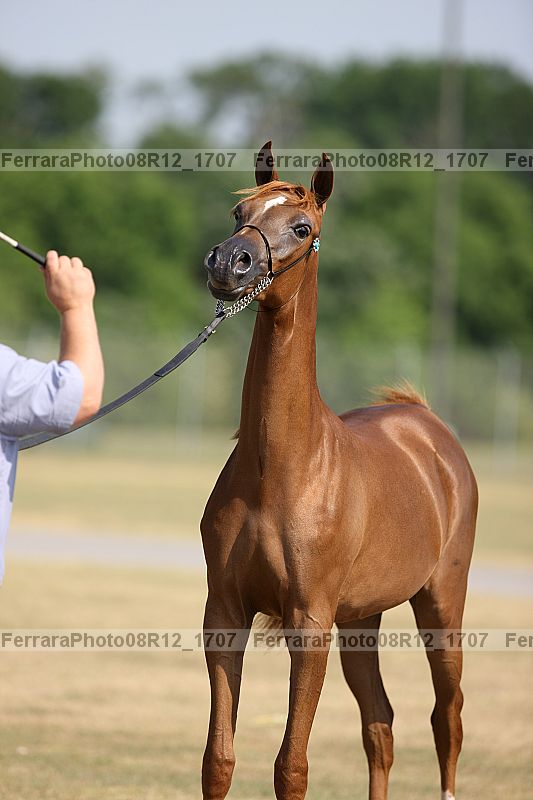 Proof 08r12_1707