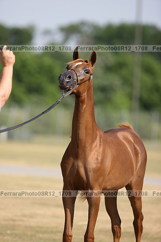 Proof 08r12_1708