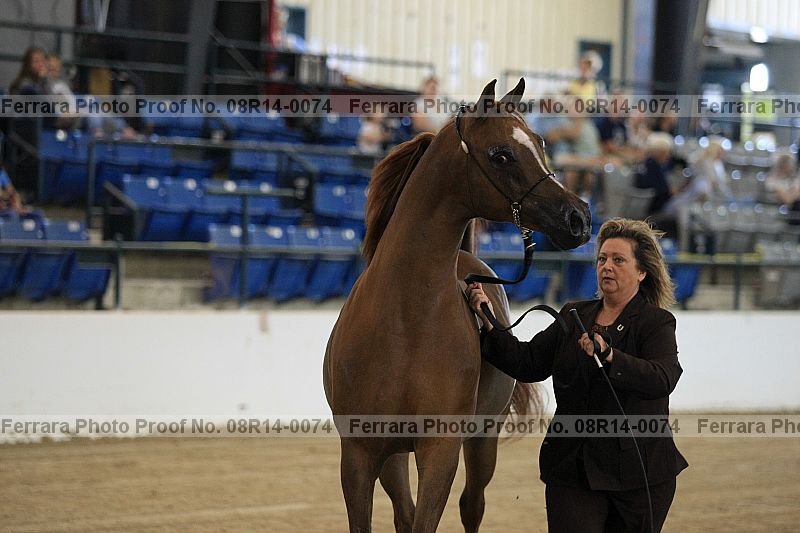 Proof 08r14-0074