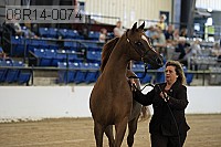 08r14-0074 proof