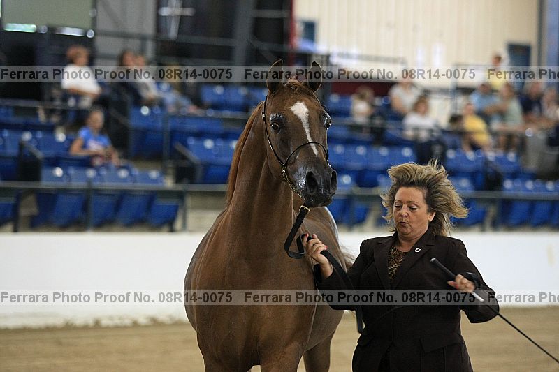 Proof 08r14-0075