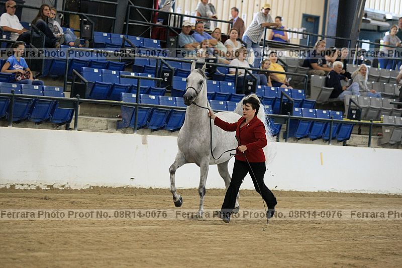 Proof 08r14-0076