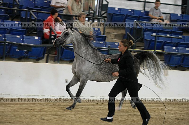 Proof 08r14-0078