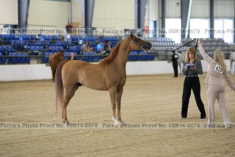 Proof 08r14-0079
