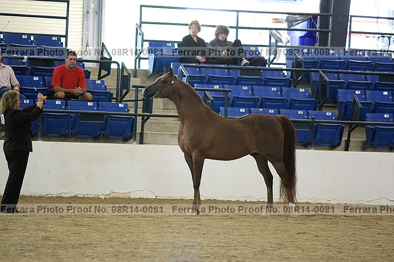 Proof 08r14-0081