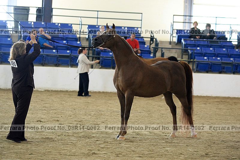 Proof 08r14-0082