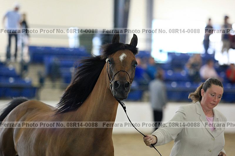 Proof 08r14-0088