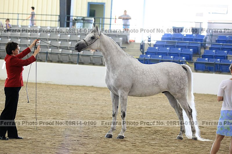 Proof 08r14-0100