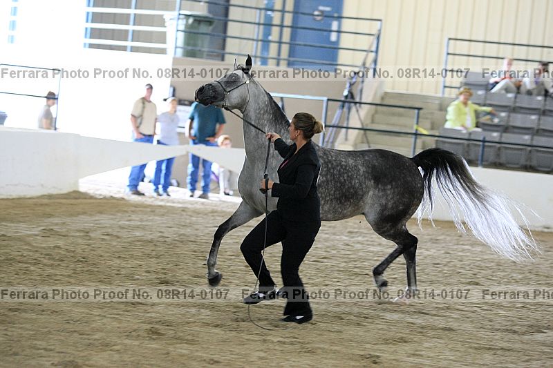 Proof 08r14-0107