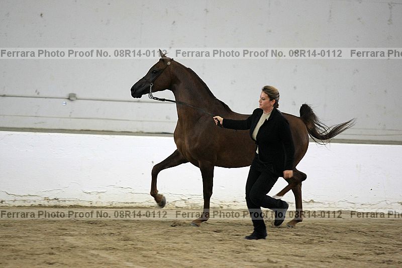 Proof 08r14-0112
