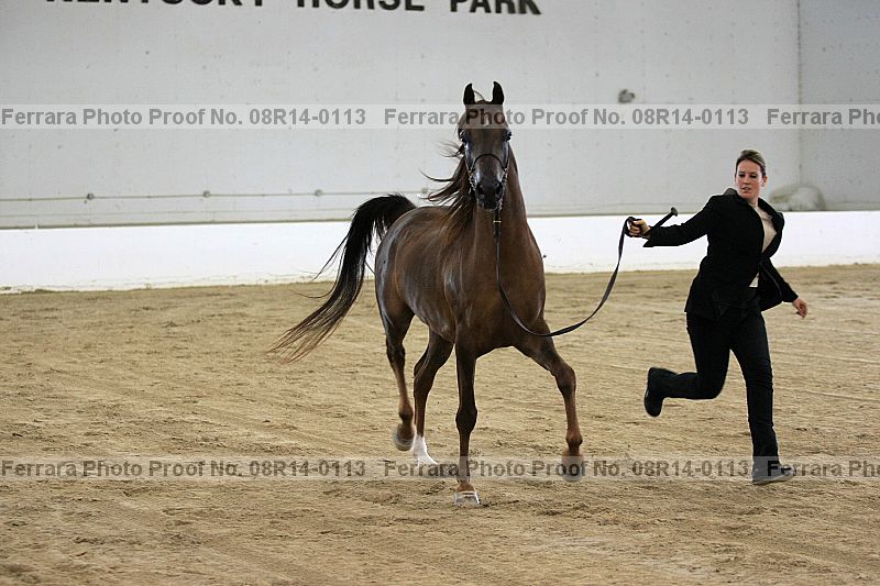 Proof 08r14-0113