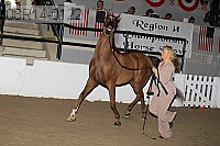 08r14-0122 proof