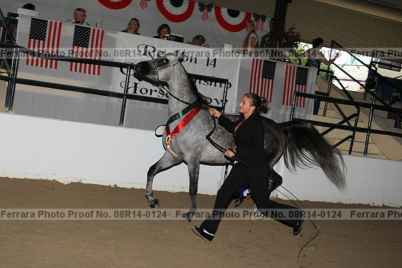 Proof 08r14-0124