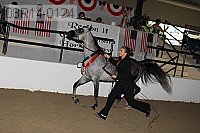 08r14-0124 proof