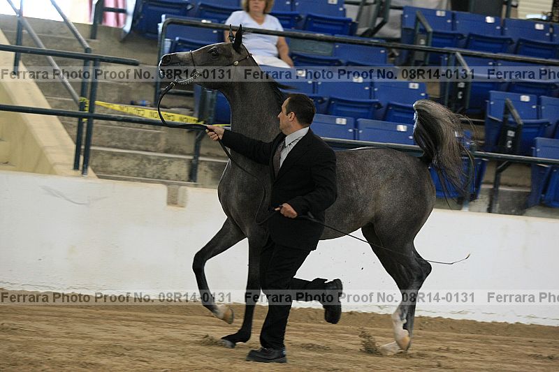 Proof 08r14-0131