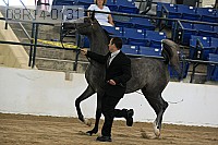 08r14-0131 proof
