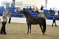 08r14-0135 proof