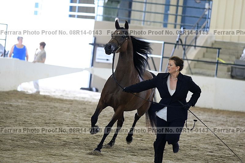 Proof 08r14-0143