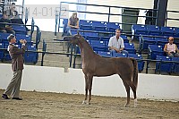 08r14-0152 proof
