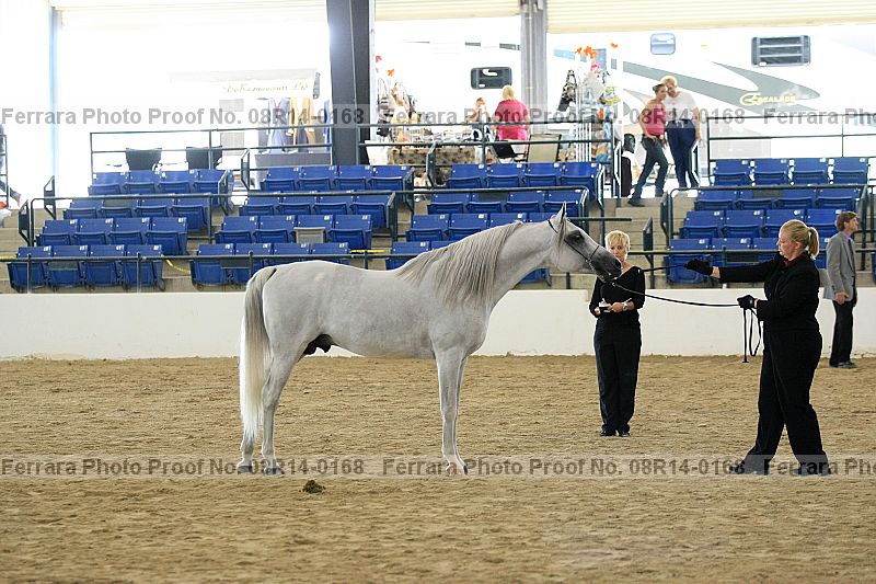 Proof 08r14-0168