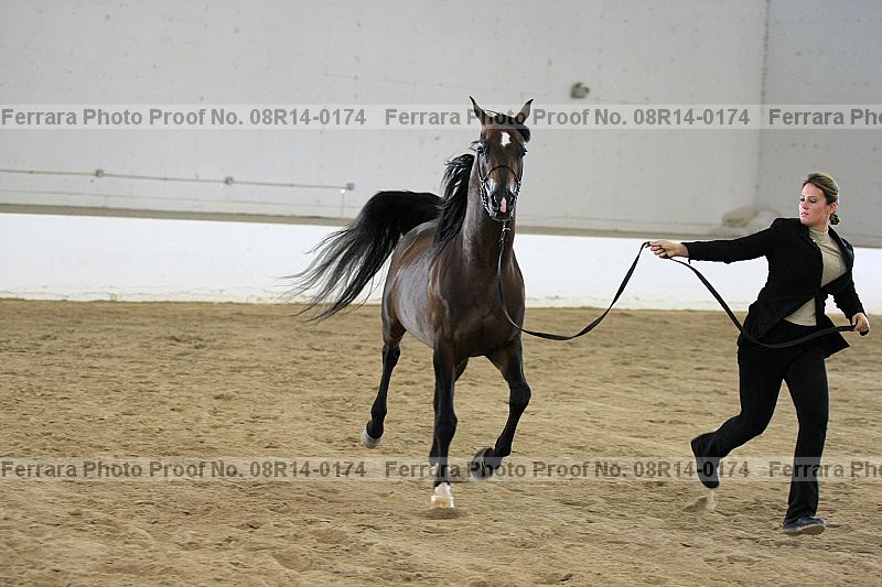 Proof 08r14-0174