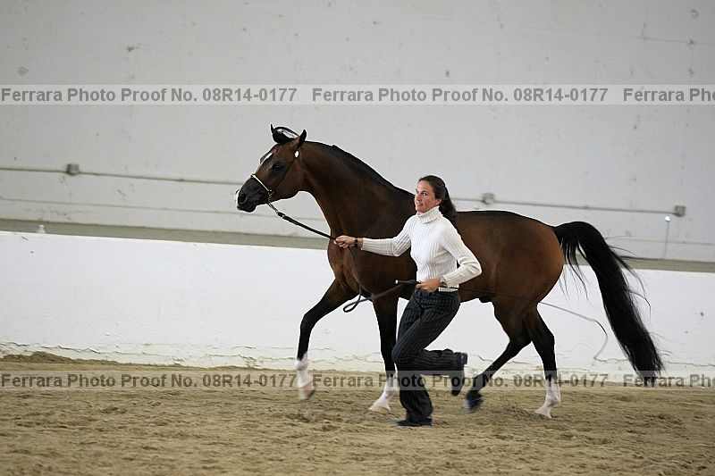 Proof 08r14-0177