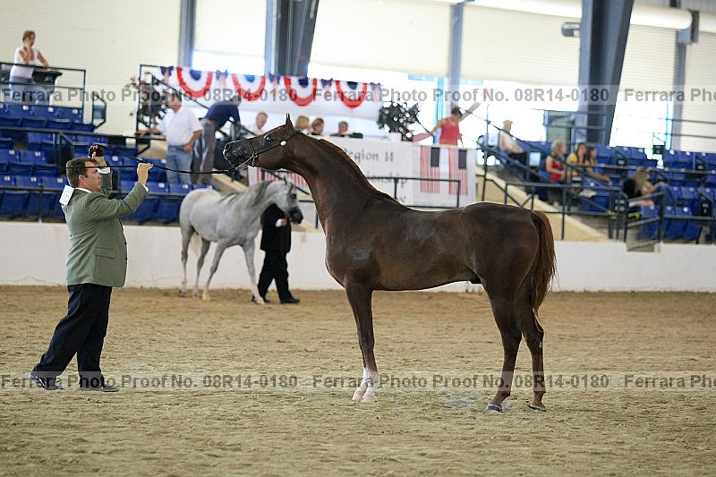 Proof 08r14-0180