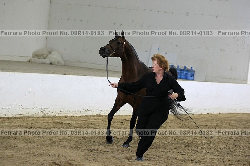 Proof 08r14-0183